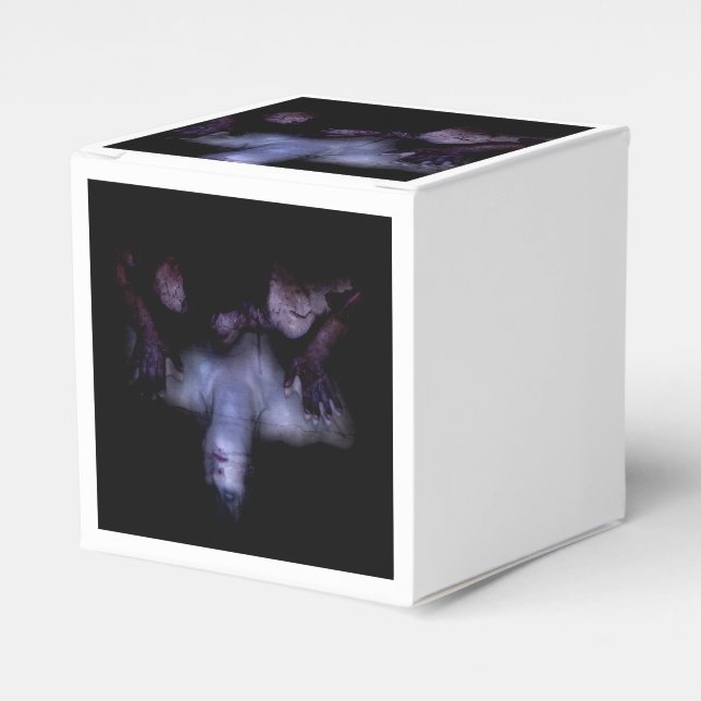 Falln MirrorMirror Favor Boxes (Front Side)