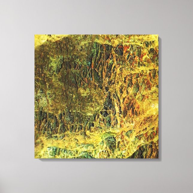 Falln Mossy Stones Canvas Print (Front)