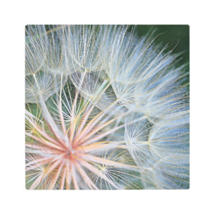Falln New Wishes Metal Print