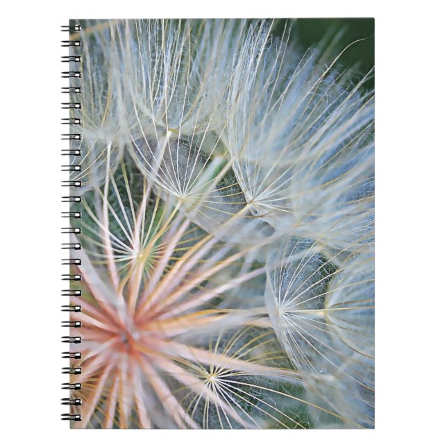 Falln New Wishes Notebook (Front)