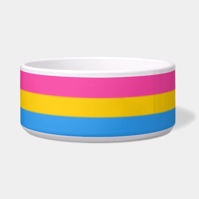 Falln Pansexual Pride Flag Bowl (Front)