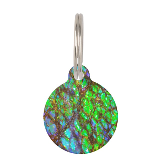 Falln Peacock Ammolite Pet ID Tag (Front)