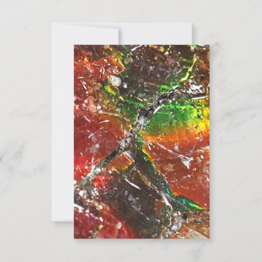 Falln Piedras Arcoiris (Back)