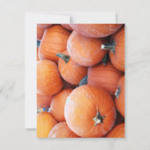 Falln Pumpkin Pile (Back)