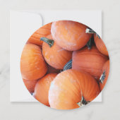 Falln Pumpkin Pile (Back)