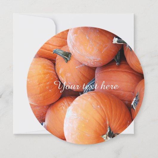 Falln Pumpkin Pile (Front)