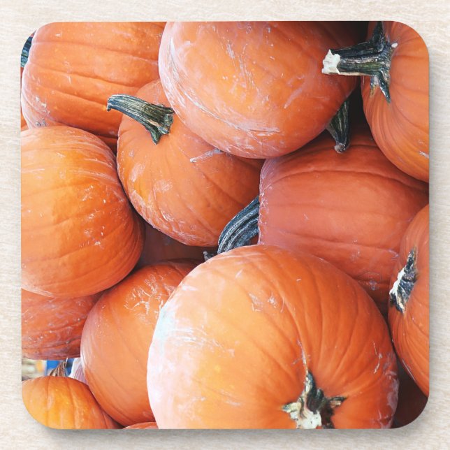 Falln Pumpkin Pile Beverage Coaster (Front)