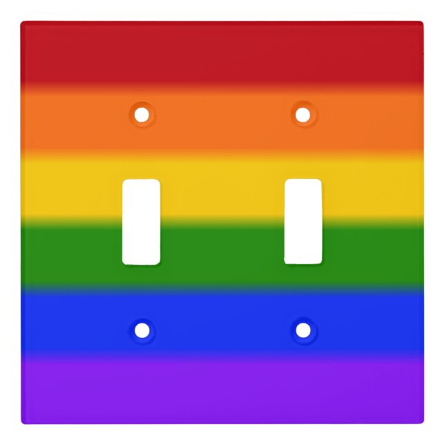 Falln Rainbow Gay Pride Flag Light Switch Cover (Front)