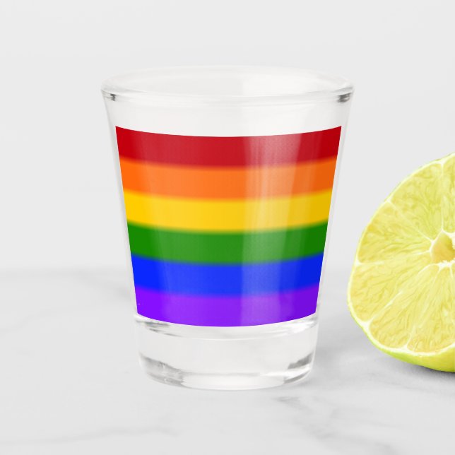 Falln Rainbow Gay Pride Flag Shot Glass (Front)