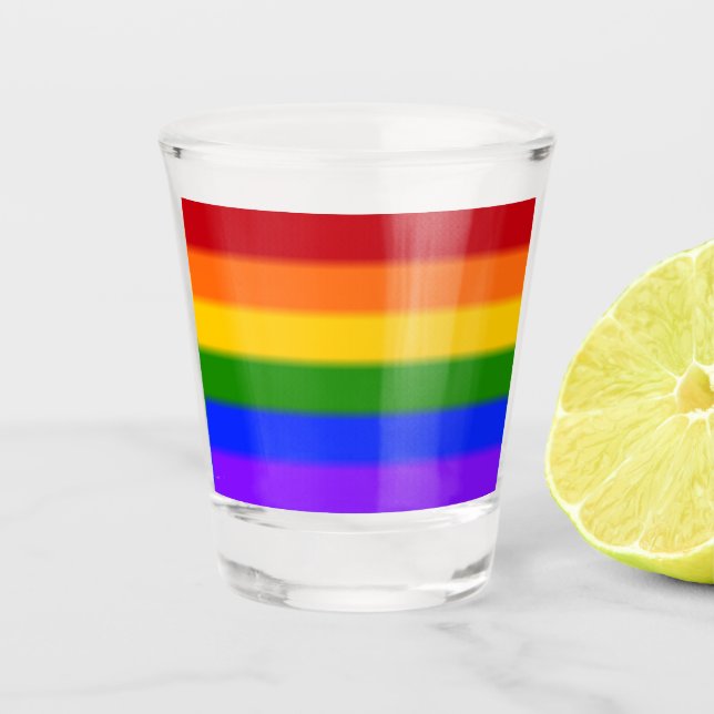 Falln Rainbow Gay Pride Flag Shot Glass (Front)