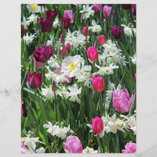 Falln Romantic Spring Morning (Front)
