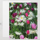 Falln Romantic Spring Morning (Front/Back)