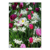 Falln Romantic Spring Morning (Front)