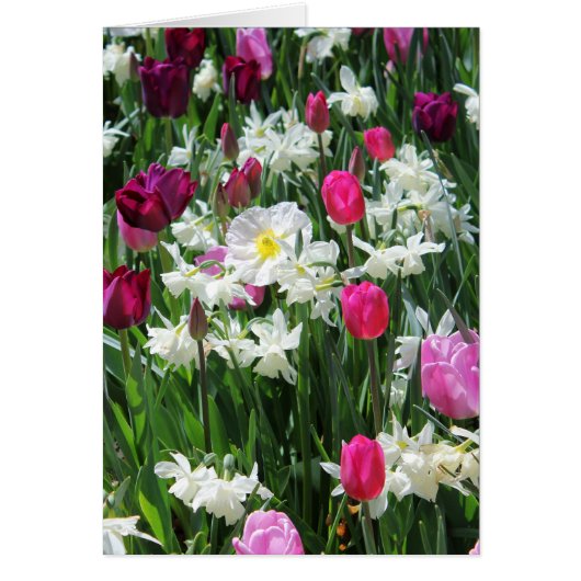 Falln Romantic Spring Morning Cards (Front)