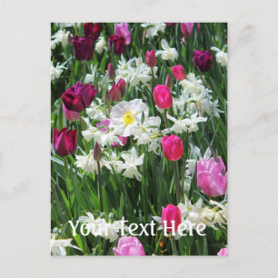 Falln Romantic Spring Morning Postcard