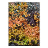 Falln Rusty Sunset Stones (Front)