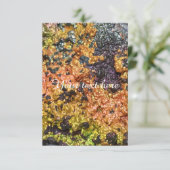 Falln Rusty Sunset Stones (Standing Front)