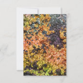 Falln Rusty Sunset Stones (Back)