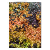 Falln Rusty Sunset Stones (Front)