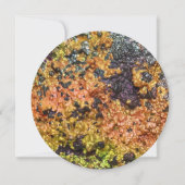 Falln Rusty Sunset Stones (Back)