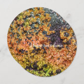 Falln Rusty Sunset Stones (Front/Back)