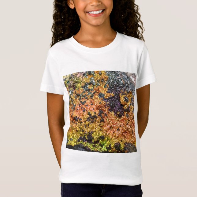 Falln Rusty Sunset Stones T-Shirt (Front)