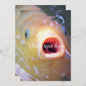 Falln Singing Ghost Koi (Front/Back)