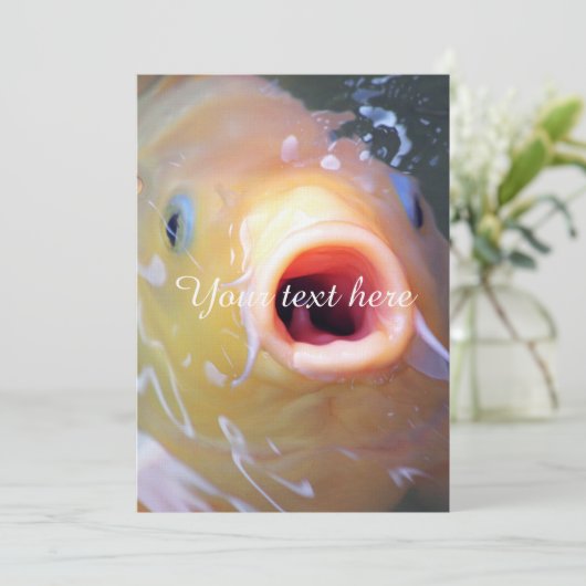 Falln Singing Ghost Koi (Standing Front)