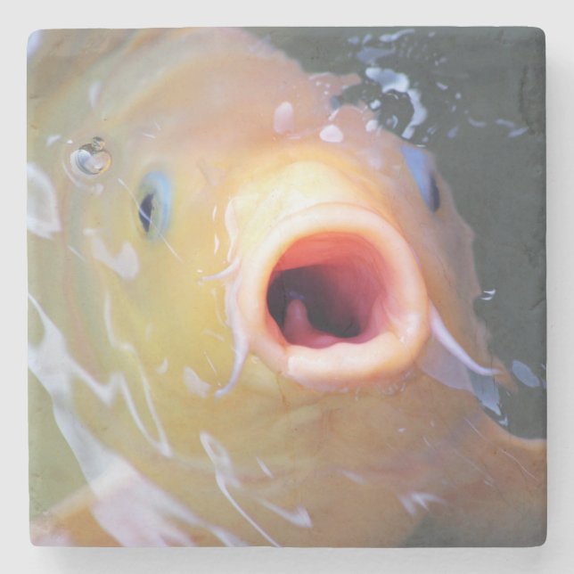 Falln Singing Ghost Koi Stone Coaster (Front)