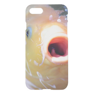 Falln Singing Ghost Koi iPhone SE/8/7 Case
