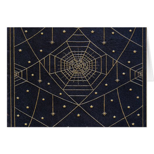 Falln Spider Silk Stars (Front Horizontal)