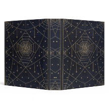 Falln Spider Silk Stars Book