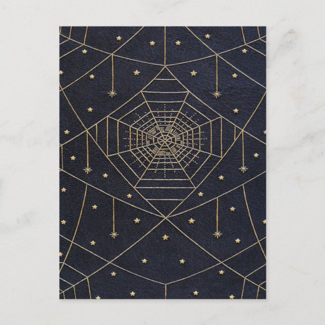 Falln Spider Silk Stars Postcard (Front)