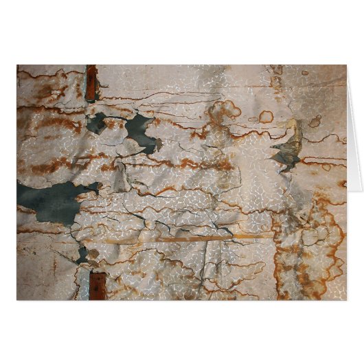 Falln Stained Elegance (Front Horizontal)