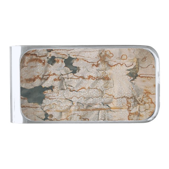 Falln Stained Elegance Silver Finish Money Clip (Front)