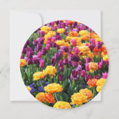 Falln Sunset Floral River (Back)