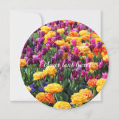 Falln Sunset Floral River (Front)