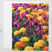 Falln Sunset Floral River (Front/Back)