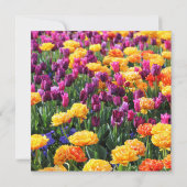 Falln Sunset Floral River (Back)