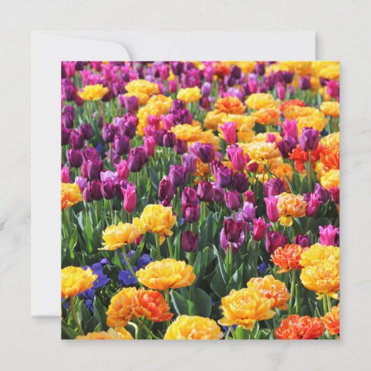 Falln Sunset Floral River (Back)