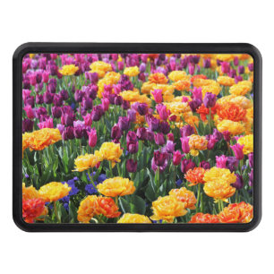 Falln Sunset Floral River Hitch Cover