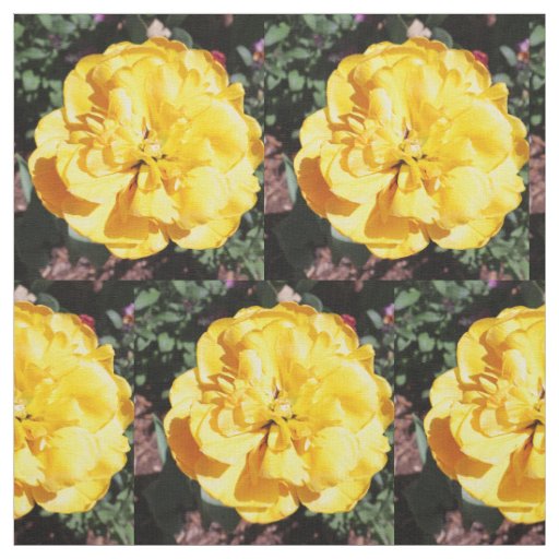 Falln Sunshine Floral Fabric