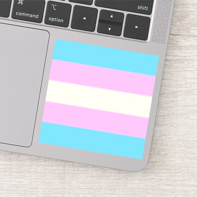 Falln Trans Pride Flag Sticker (Detail)