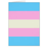 Falln Transgender Pride Flag (Front)