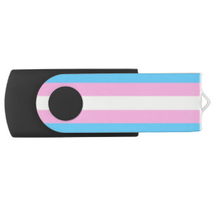 Falln Transgender Pride Flag USB Flash Drive