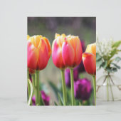Falln Tulips Aflame (Standing Front)