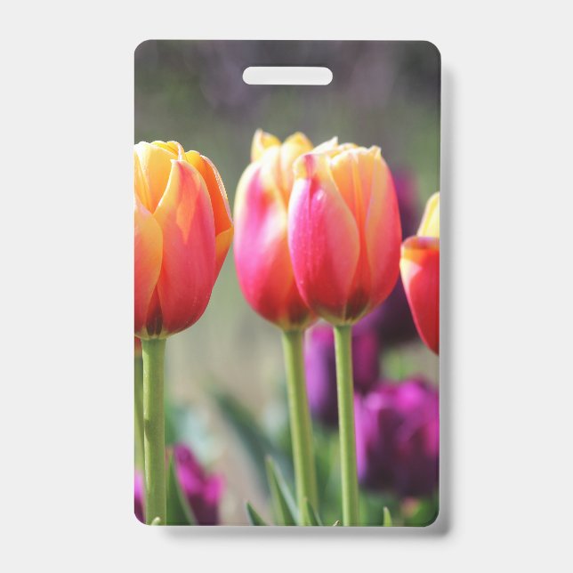 Falln Tulips Aflame Badge (Front)