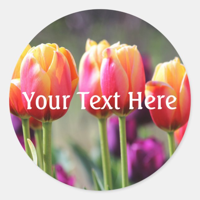 Falln Tulips Aflame Classic Round Sticker (Front)