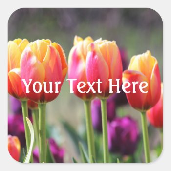 Falln Tulips Aflame Square Sticker by FallnAngelCreations at Zazzle