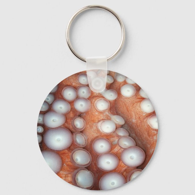Falln Up Close Octopus Keychain (Front)